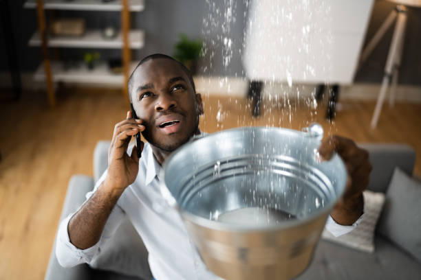 Best 24/7 water damage repair  in Henderson, NC