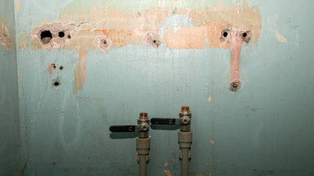 Best 24-hour water damage restoration  in Henderson, NC