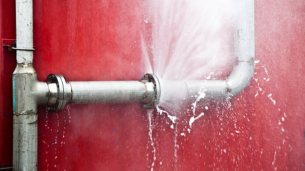 Best Water damage contractors near me  in Henderson, NC